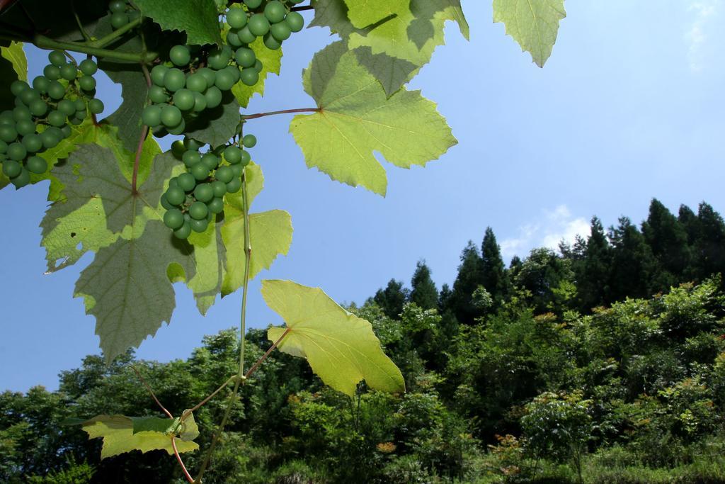 Enshi Grand Canyon Chunlun Farmstay Exterior foto